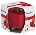 Lõhnaküünal Bolsius True Scents Pomegranate