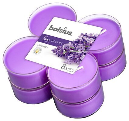 Lõhnaküünalde komplekt Bolsius True Scents Lavender, 8 tk hind ja info | Küünlad, küünlajalad | kaup24.ee