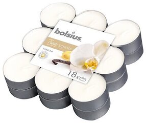 Набор ароматических свечей Bolsius True Scents Vanilla, 18 шт цена и информация | Подсвечники, свечи | kaup24.ee