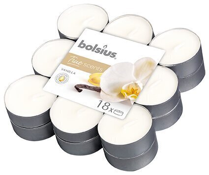 Lõhnaküünalde komplekt Bolsius True Scents Vanilla, 18 tk цена и информация | Küünlad, küünlajalad | kaup24.ee