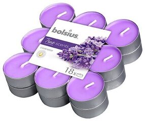 Свечки Bolsius True Scents, 18 шт., Лаванда цена и информация | Подсвечники, свечи | kaup24.ee