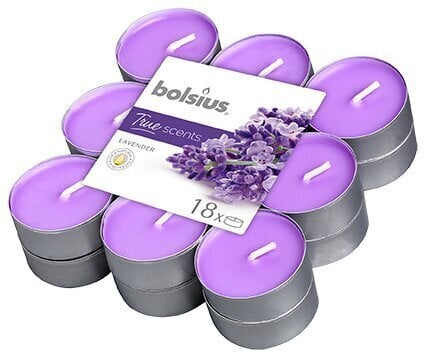 Bolsius lõhnaküünlad True Scents, 18 tk, lavender hind ja info | Küünlad, küünlajalad | kaup24.ee