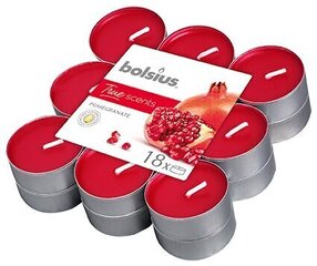 Набор ароматических свечей Bolsius True Scents Pomegranate, 18 шт цена и информация | Свечи, подсвечники | kaup24.ee