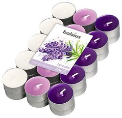 Набор ароматических свечей Bolsius, 30 шт. цена и информация | Подсвечники, свечи | kaup24.ee