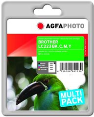 AgfaPhoto APB223SETD цена и информация | Картриджи для струйных принтеров | kaup24.ee