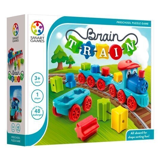 Konstruktor Brain Train цена и информация | Imikute mänguasjad | kaup24.ee