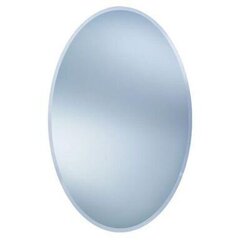 Зеркало Dubiel Vitrum Owal, серебро цена и информация | Зеркала | kaup24.ee