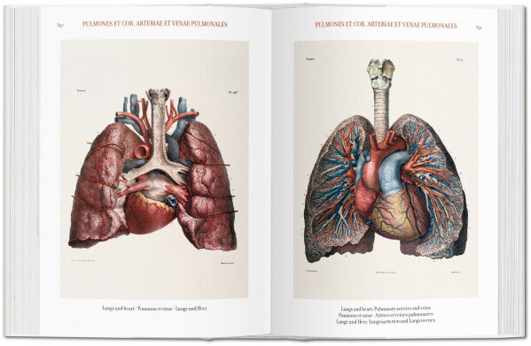 Atlas of Human Anatomy and Surgery, bu цена и информация | Entsüklopeediad, teatmeteosed | kaup24.ee