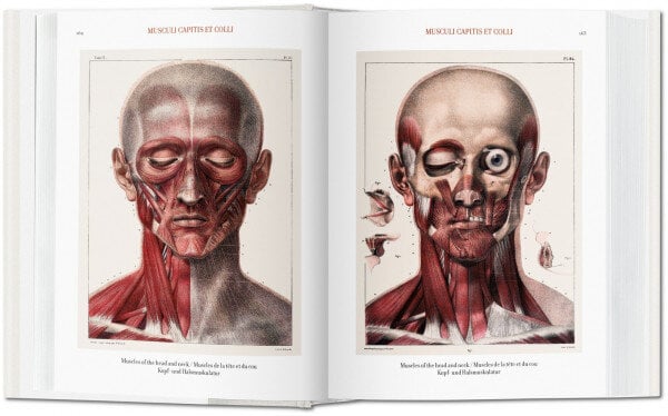 Atlas of Human Anatomy and Surgery, bu цена и информация | Entsüklopeediad, teatmeteosed | kaup24.ee