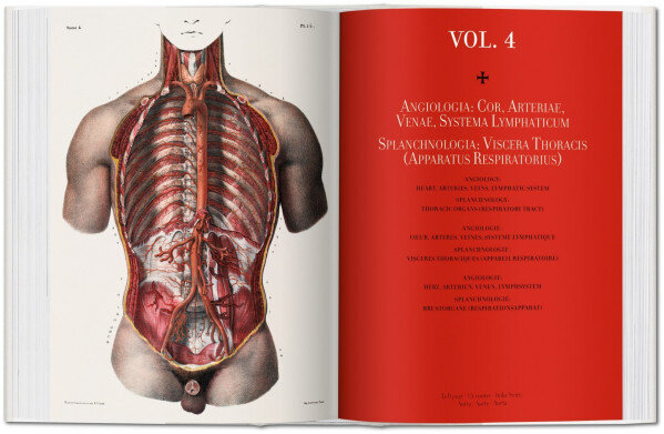 Atlas of Human Anatomy and Surgery, bu цена и информация | Entsüklopeediad, teatmeteosed | kaup24.ee