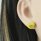 Naiste kõrvarõngad, kollane/kuldne III hind ja info | Kõrvarõngad | kaup24.ee