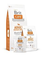 Brit Care Adult Medium Breed Lamb & Rice 3 kg hind ja info | Kuivtoit koertele | kaup24.ee