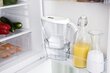 Brita BRH1025951 цена и информация | Filterkannud ja filtrid | kaup24.ee