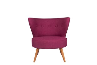 Кресло Artie Riverhead, фиолетовое цена и информация | Кресла в гостиную | kaup24.ee