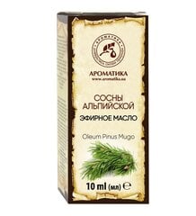 Натуральное эфирное масло сосны альпийской Aromatika, 10 мл цена и информация | Эфирные, косметические масла, гидролаты | kaup24.ee