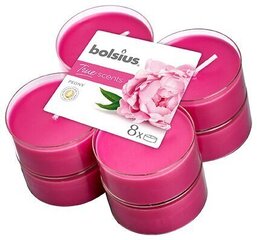 Lõhnaküünalde komplekt Bolsius True Scents Peony, 8 tk цена и информация | Подсвечники, свечи | kaup24.ee