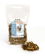 Dogslikefish koeramaius sprats terve kilu 500g hind ja info | Maiustused koertele | kaup24.ee