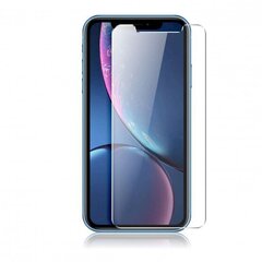 Защитная стекло Tempered Glass Premium 9H для Apple iPhone 11 Pro Max цена и информация | Ekraani kaitsekiled | kaup24.ee