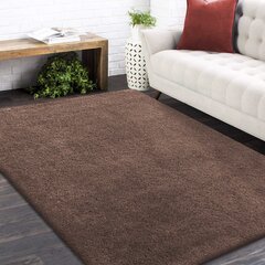 Vaip Shaggy Kamel Cappuccino, 160x220 cm hind ja info | Vaibad | kaup24.ee