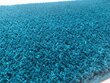 Vaip Shaggy Kamel Sea, 160x220 cm hind ja info | Vaibad | kaup24.ee