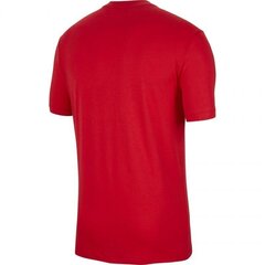 Мужская спортивная футболка Nike Poland TEE Evergreen Crest M CU9191 611, 54241, красная цена и информация | Мужская спортивная одежда | kaup24.ee