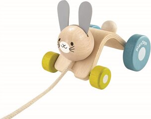 Игрушка на веревочке PlanToys Hopping Rabbit цена и информация | Игрушки для малышей | kaup24.ee