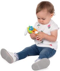 Музыкальная игрушка Телефон щенок Chicco цена и информация | Игрушки для малышей | kaup24.ee