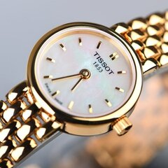 Женские часы Tissot T058.009.33.111.00 цена и информация | Женские часы | kaup24.ee