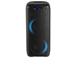 Trevi XF 600 Bluetooth цена и информация | Аудио колонки | kaup24.ee