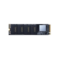 Lexar NM610 M.2 2280 NVMe 250GB SSD цена и информация | Внутренние жёсткие диски (HDD, SSD, Hybrid) | kaup24.ee