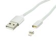 Blow 66-107, USB-A/Lightning, 1 m цена и информация | Kaablid ja juhtmed | kaup24.ee