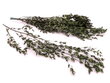 Eukalüpti oksad Parvifolia цена и информация | Uinuvad roosid, taimed | kaup24.ee