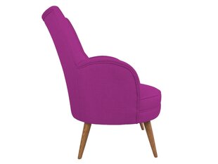 Кресло Artie Victoria, фиолетовое цена и информация | Кресла | kaup24.ee