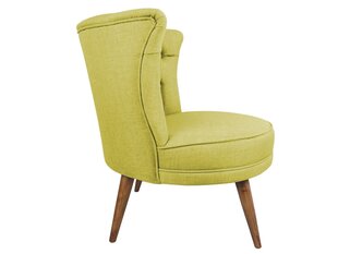 Кресло Artie Richland, зеленое цена и информация | Кресла | kaup24.ee