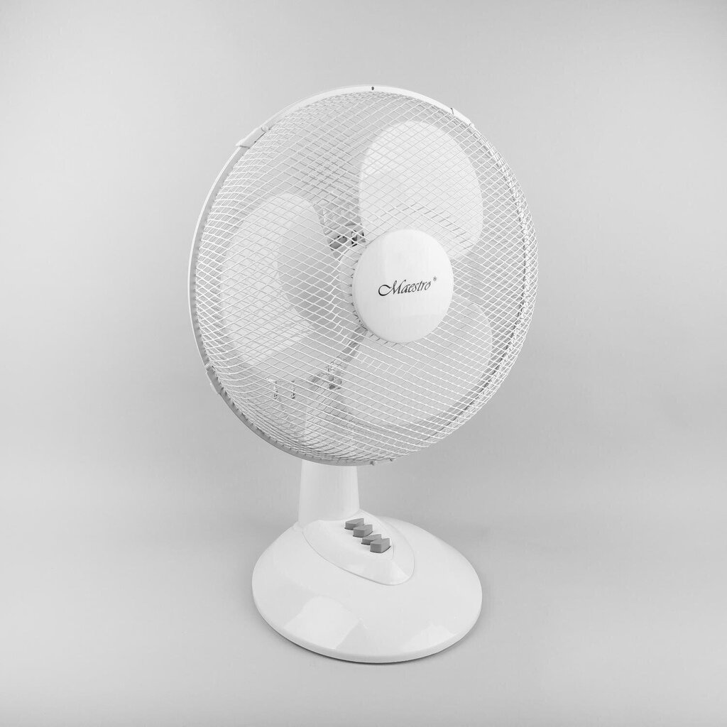 Ventilaator, Maestro MR-904 hind ja info | Ventilaatorid | kaup24.ee
