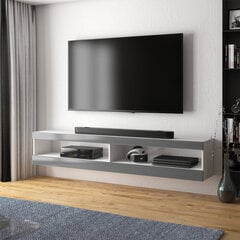 ТВ столик Selsey Viansola, 140 см, белый/серый цена и информация | Тумбы под телевизор | kaup24.ee