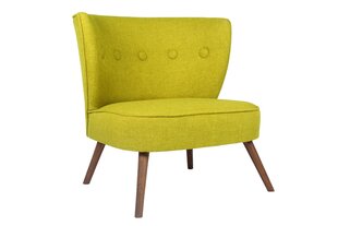 Кресло Artie Bienville, светло-зеленое цена и информация | Кресла в гостиную | kaup24.ee