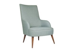 Кресло Artie Folly Island, светло-синее цена и информация | Кресла в гостиную | kaup24.ee