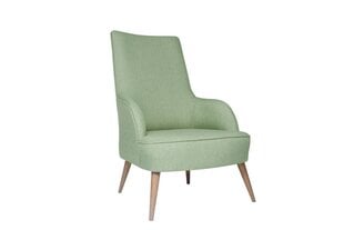Кресло Artie Folly Island, светло-зеленое цена и информация | Кресла в гостиную | kaup24.ee