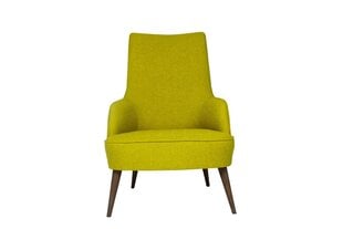 Кресло Artie Folly Island, зеленое цена и информация | Кресла в гостиную | kaup24.ee