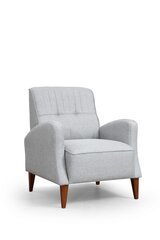 Кресло Artie Montana, серое цена и информация | Кресла в гостиную | kaup24.ee