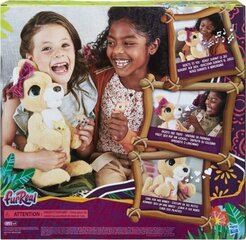 Interaktiivne mänguasi känguru Hasbro FurReal цена и информация | Мягкие игрушки | kaup24.ee