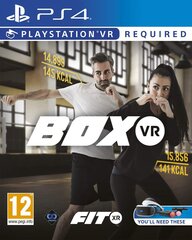 BoxVR PS4 цена и информация | Компьютерные игры | kaup24.ee