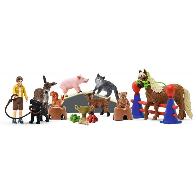 Advendikalender Schleich Farm World, 98063 hind ja info | Klotsid ja konstruktorid | kaup24.ee