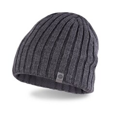Мужская зимняя шапка цена и информация | Мужские шарфы, шапки, перчатки | kaup24.ee