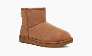 UGG - 1016222 28507 цена и информация | Naiste saapad | kaup24.ee