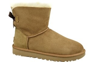 UGG - 1016501 28504 цена и информация | Женские сапоги | kaup24.ee