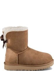 UGG - 1016501 28504 цена и информация | Женские сапоги | kaup24.ee