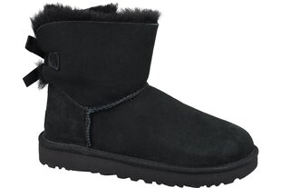 UGG - 1016501 28505 цена и информация | Женские сапоги | kaup24.ee