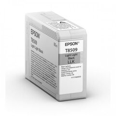 Epson UltraChrome HD (C13T850900), väga hele must kassett hind ja info | Tindiprinteri kassetid | kaup24.ee